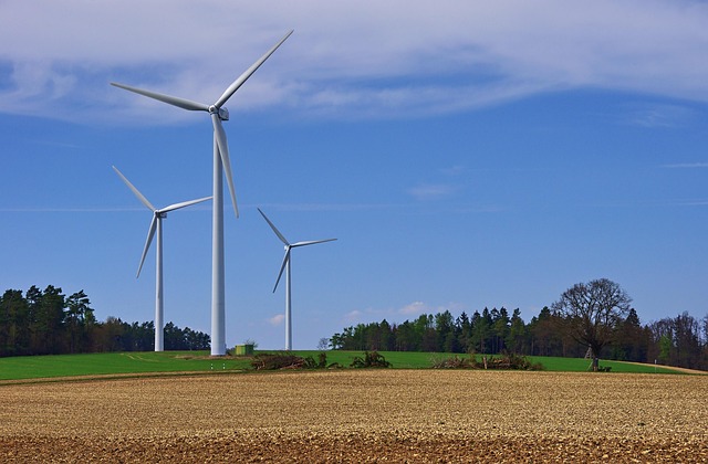 Nachhaltigkeit als usp: Green marketing zwischen trend und verantwortung